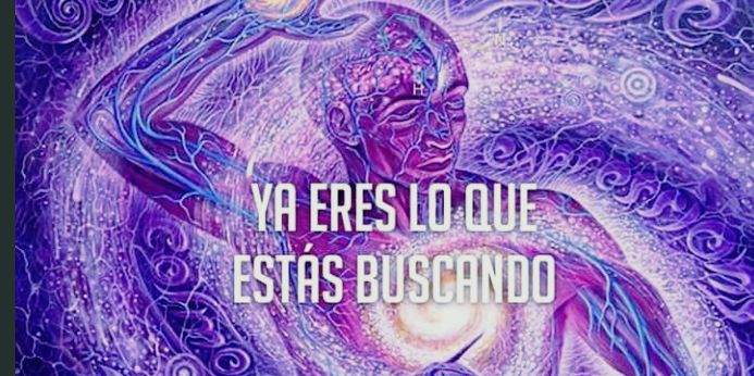 LIMACO EDZNAH banner