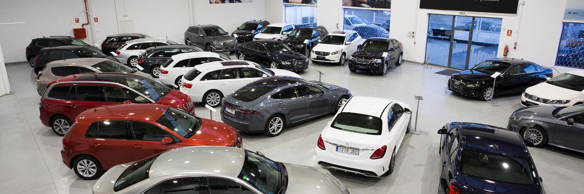 SFMotor's profile banner image