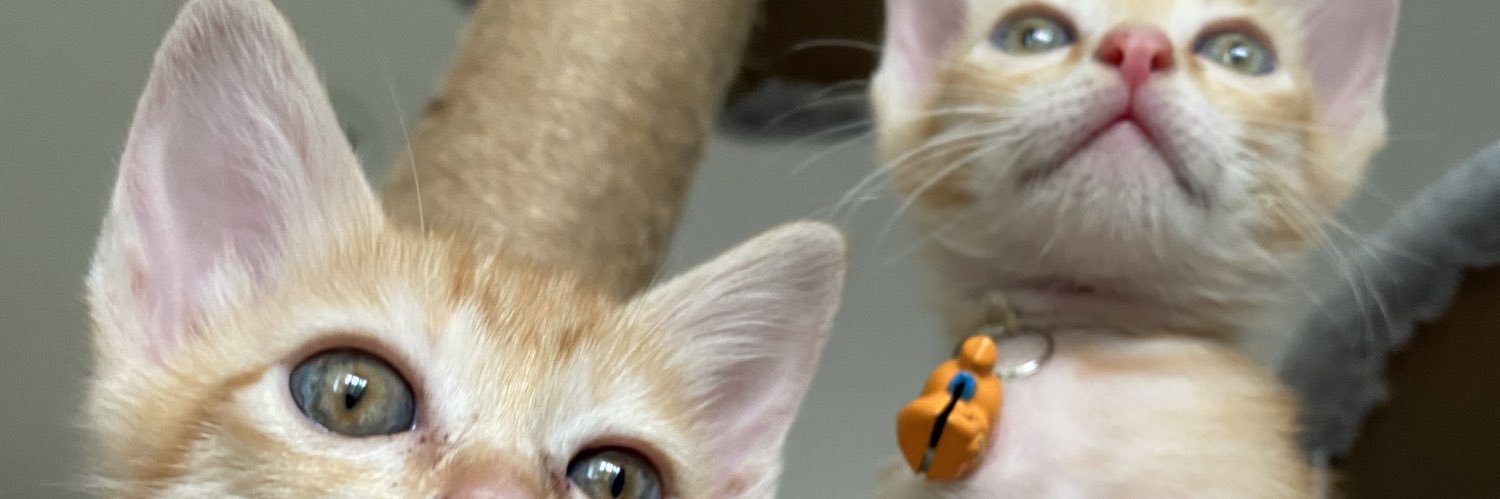 NinjaNPify banner