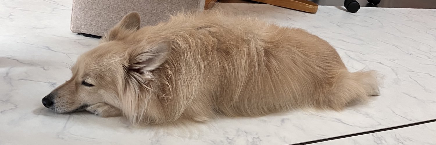 太郎　チーズ　キッフェル　レーチェ banner