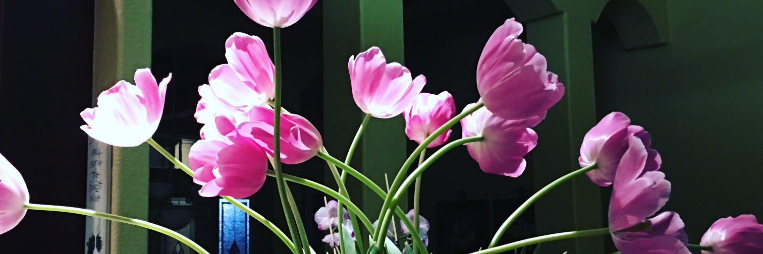 VictoriaHenrich's profile banner image