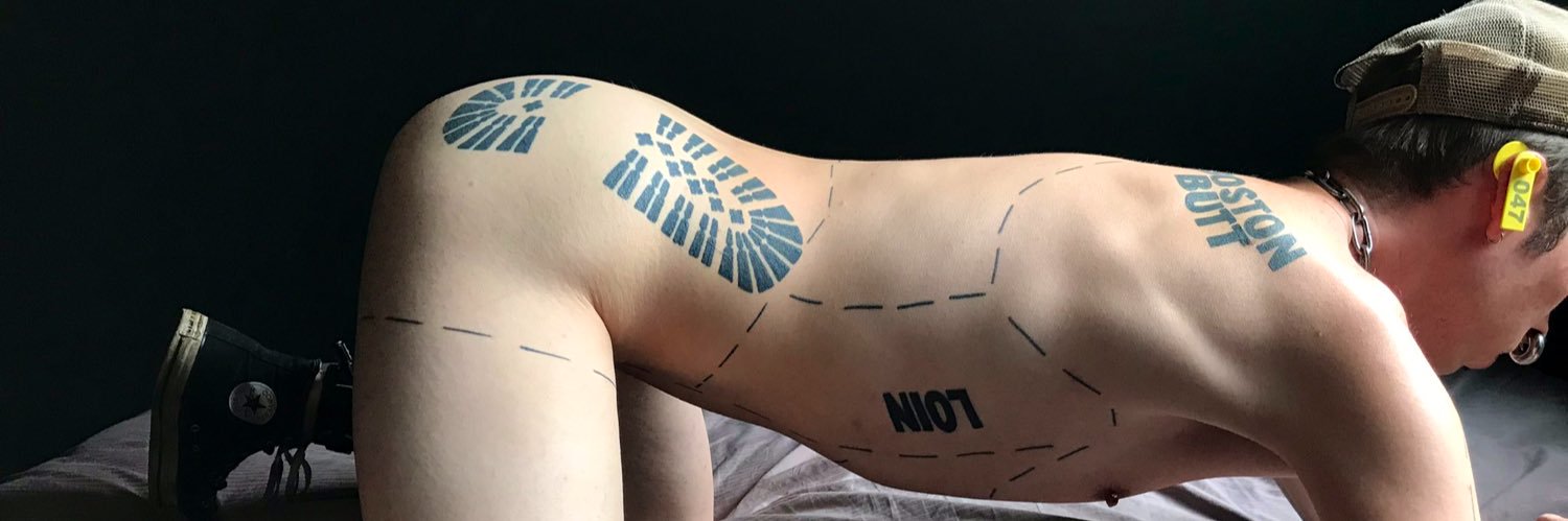 knotchThePig's profile banner image