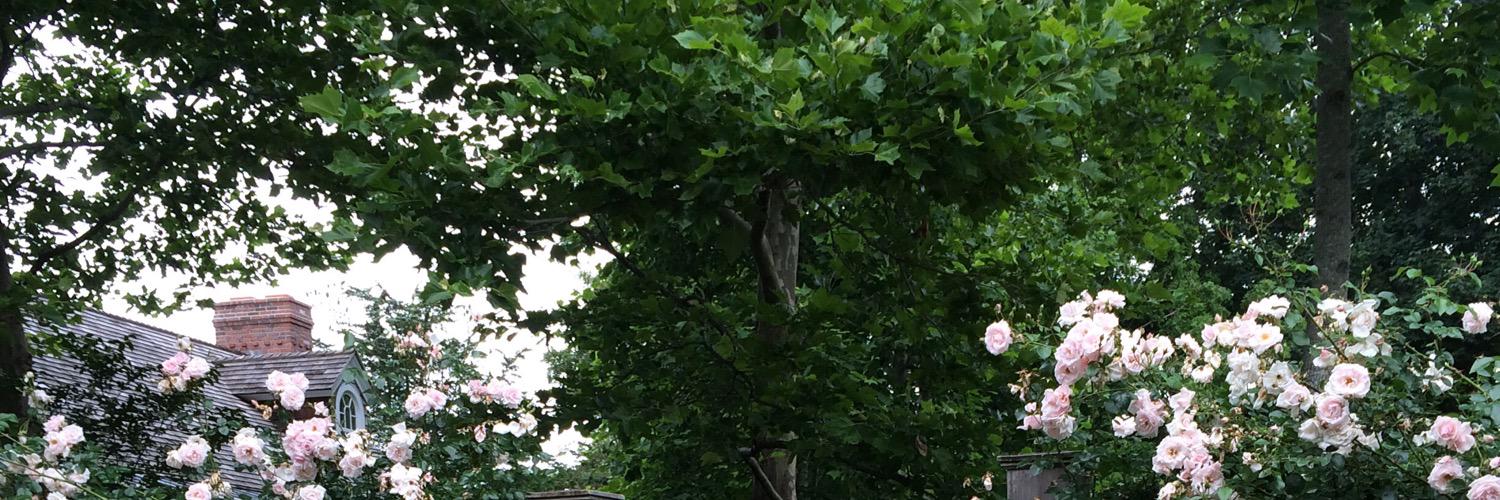 Innatwindmill's profile banner image