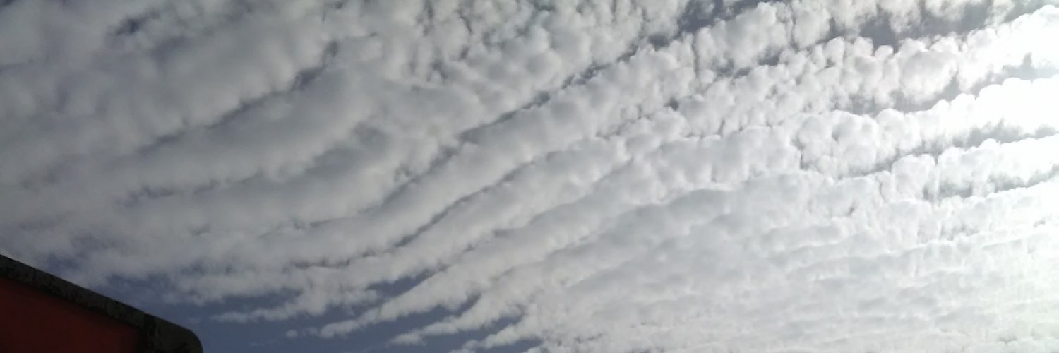 María del Pilar banner