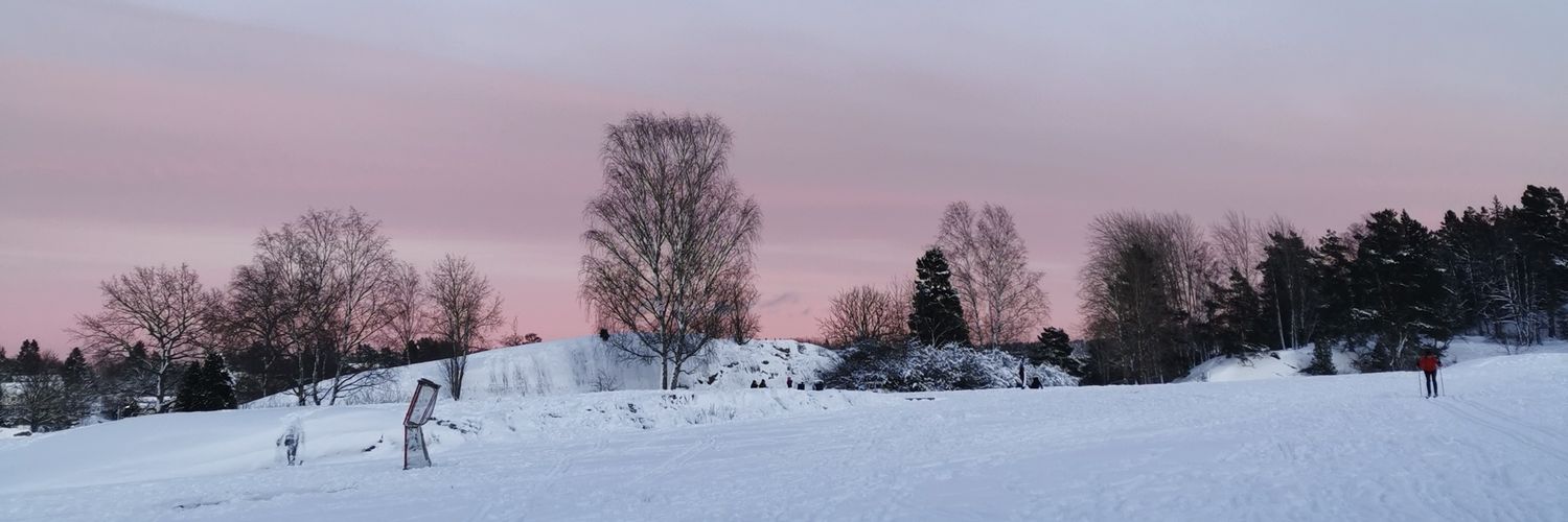 muuminkeksit's profile banner image