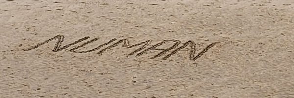 BluDen1 Profile Banner