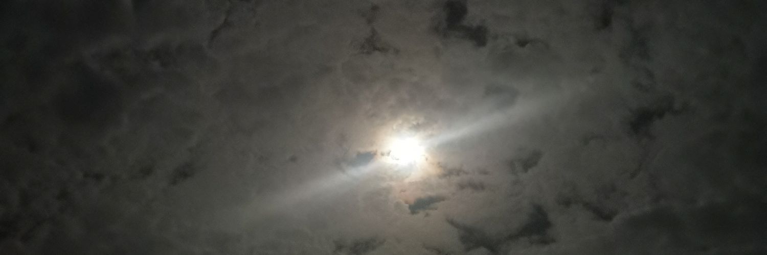 Ariskungz's profile banner image