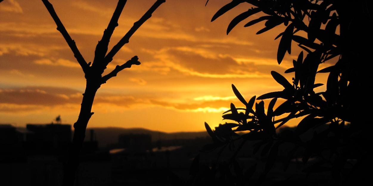 esterpiera's profile banner image