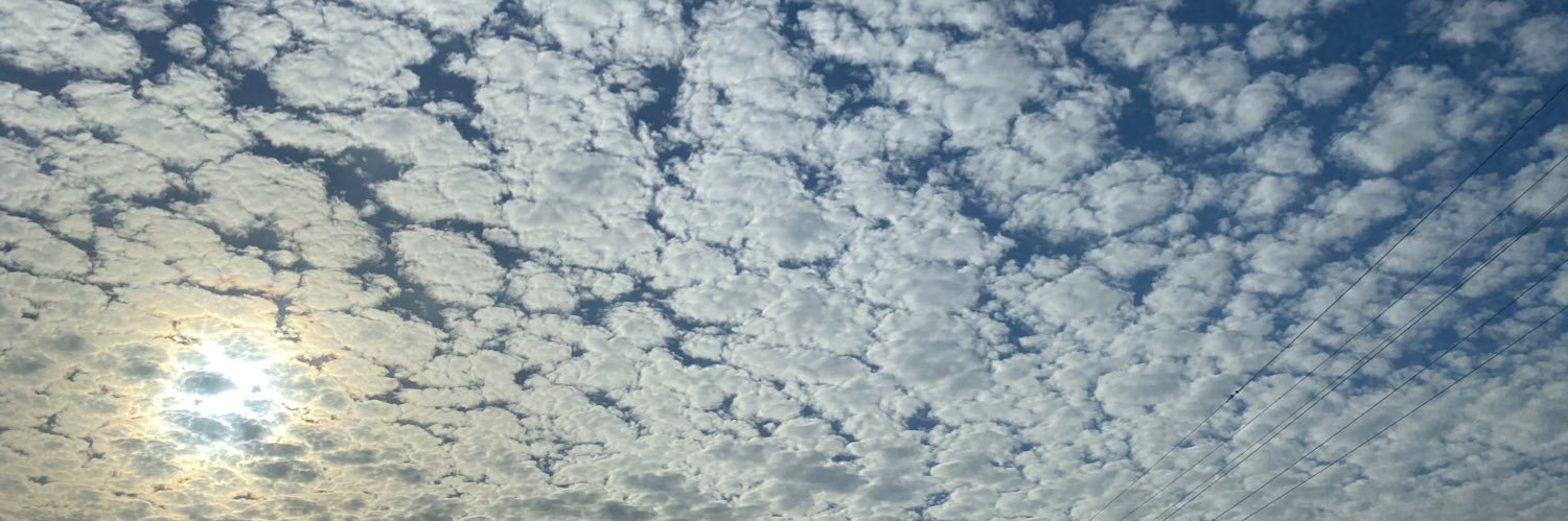 کایوت banner