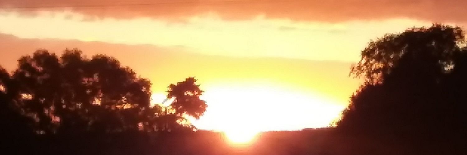 Jf0rc310's profile banner image