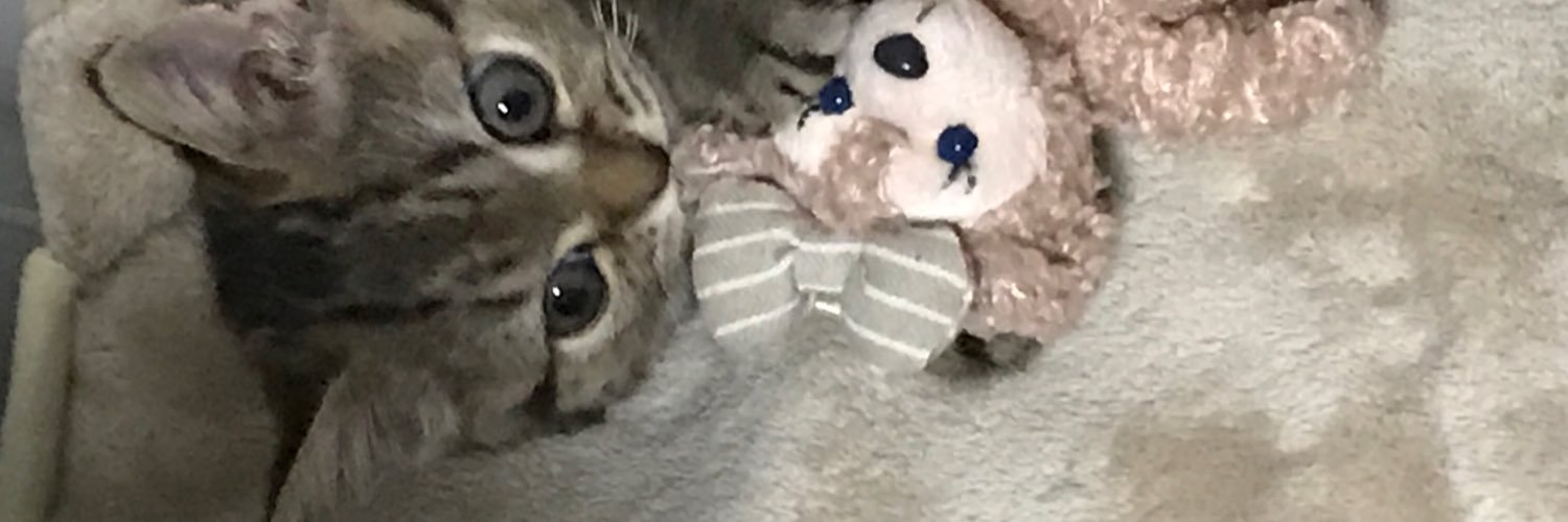 kuronecozinx's profile banner image
