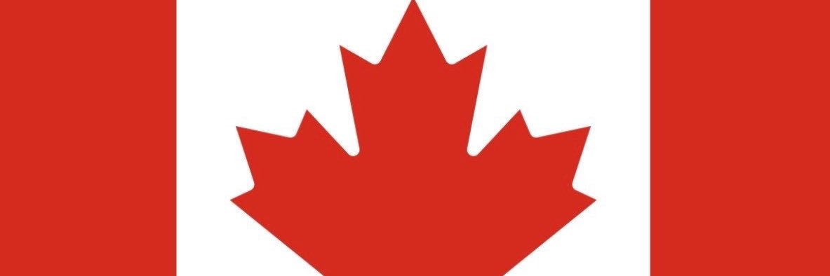 bear_haner's profile banner image
