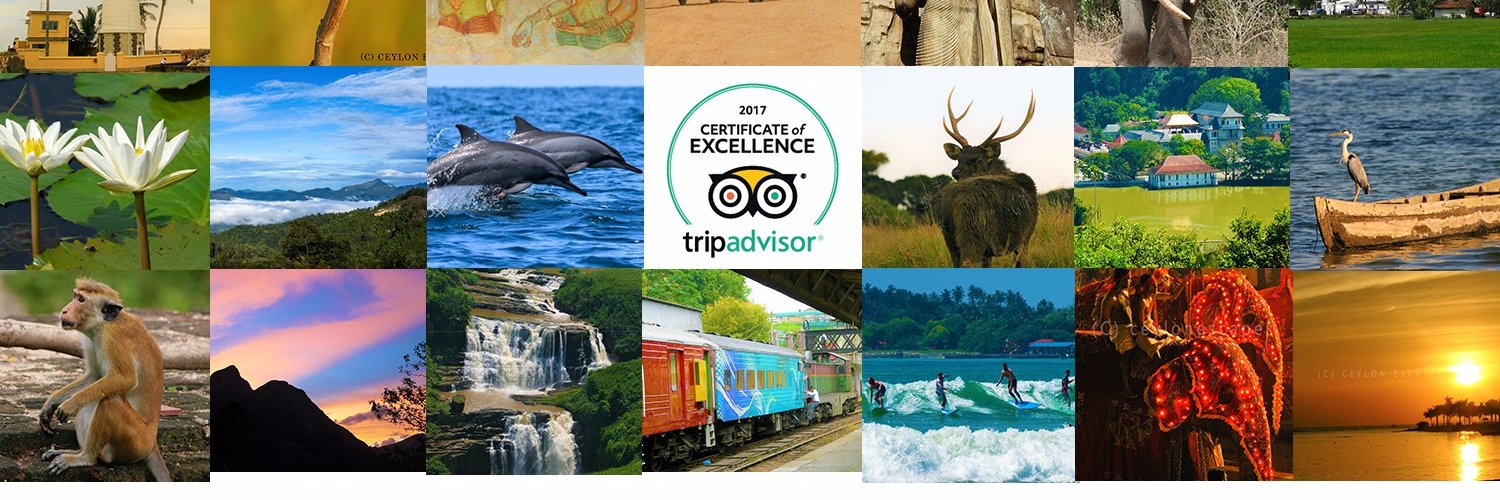 ceylon_escapes's profile banner image