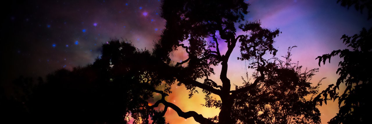 SteffiRPhoto's profile banner image