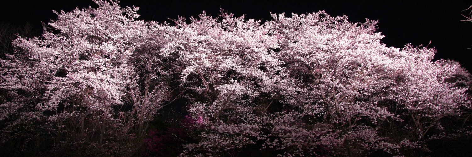 gnxbmdr's profile banner image