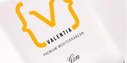 ValentiaGin's profile banner image