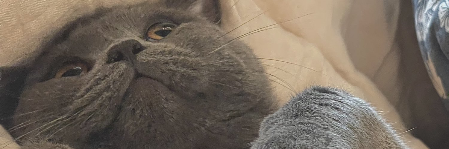 80Koline's profile banner image
