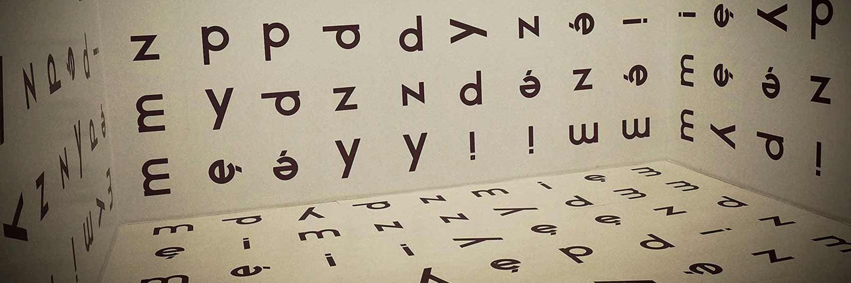 Marta N Wróblewska PhD banner