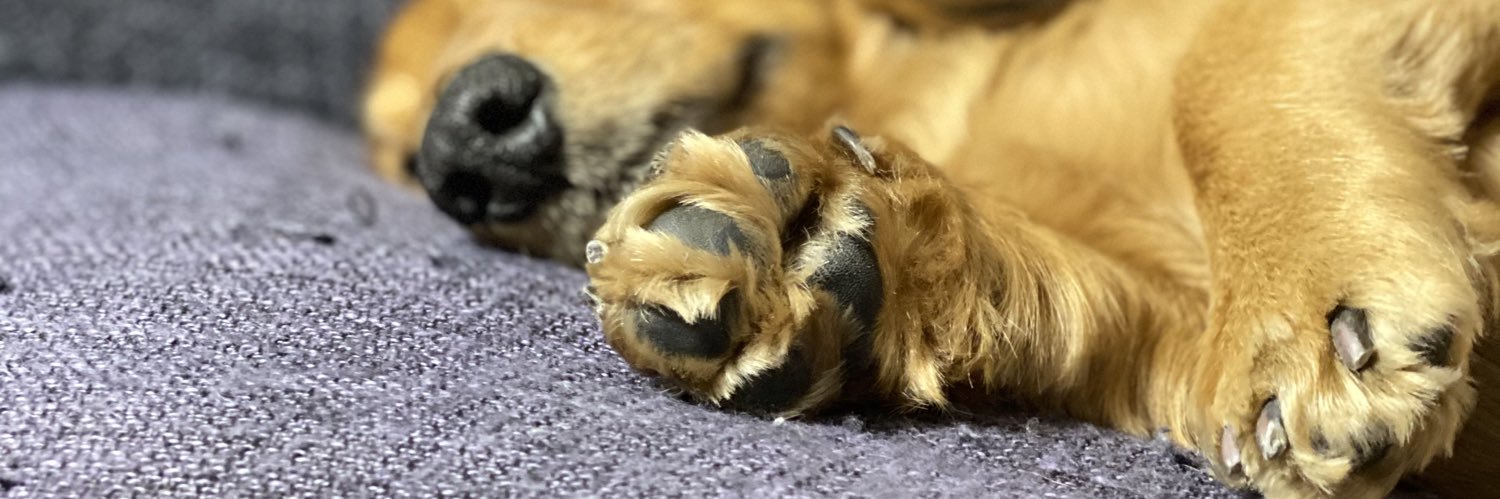 nissy_hand_'s profile banner image