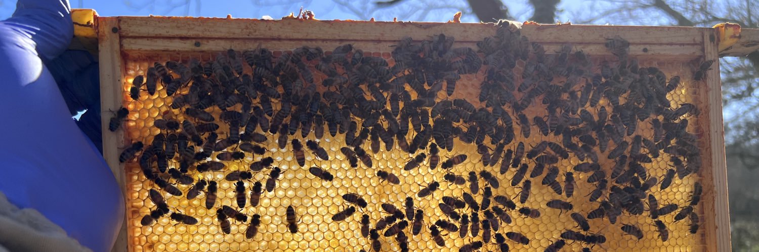 Paynes Bee Farm Ltd banner