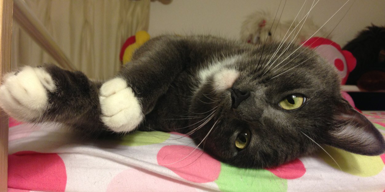 ninalove4_'s profile banner image