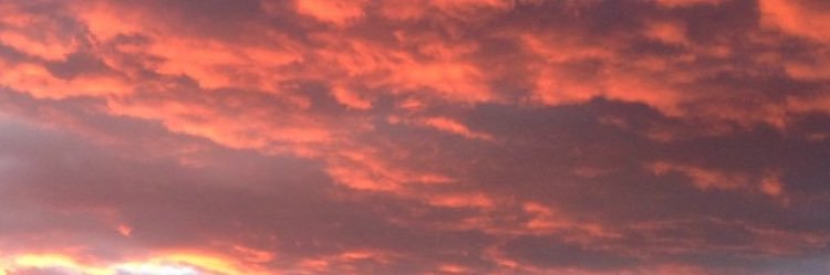 cgarcfi's profile banner image