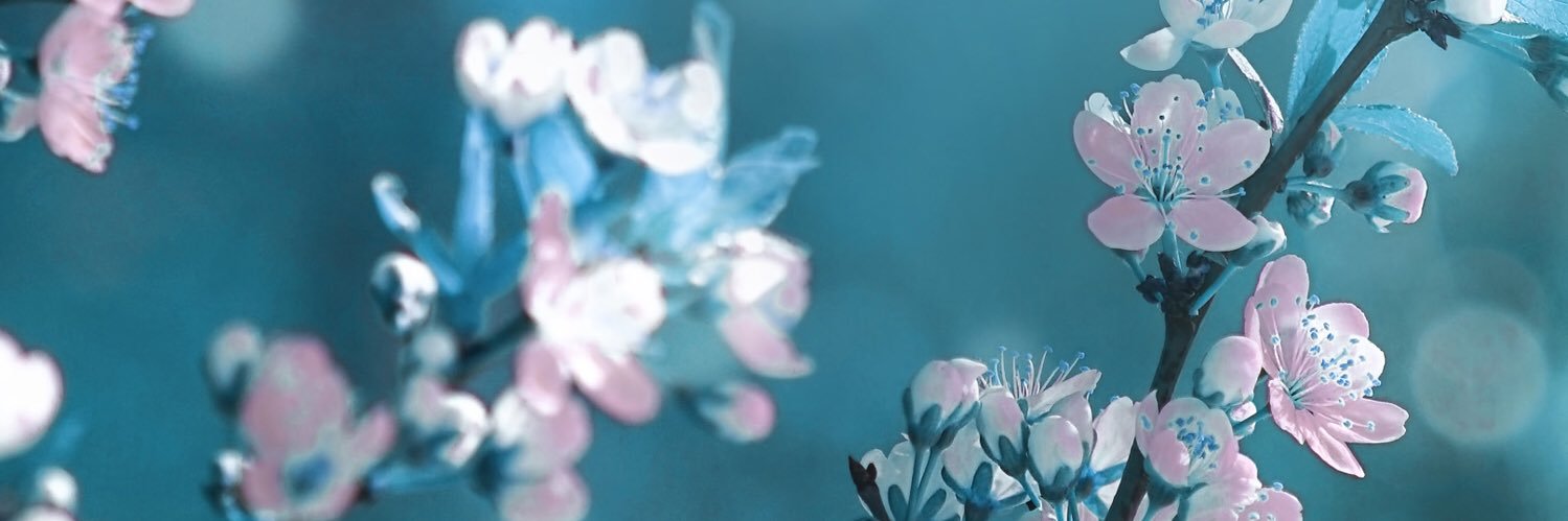 reluclementee's profile banner image