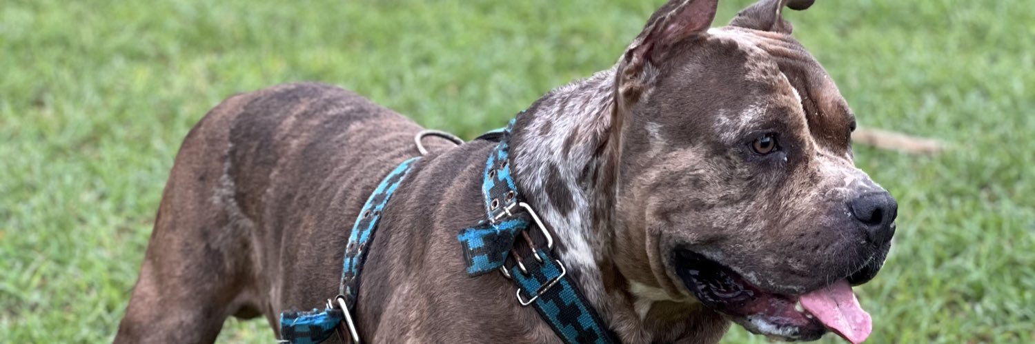 EdgarChan1's profile banner image