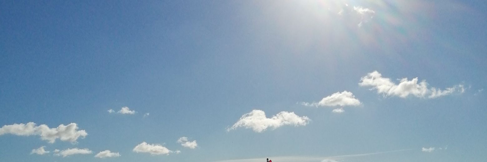 Suzanne Weekes banner