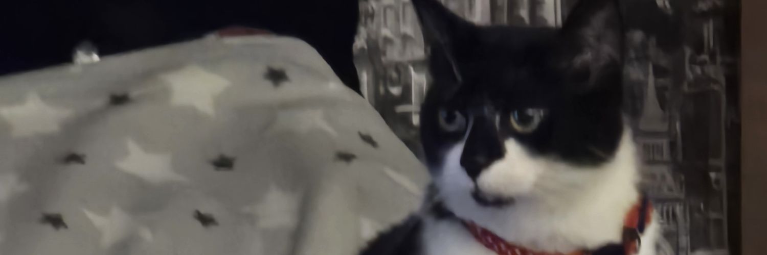 Adam UK 🇬🇧 banner