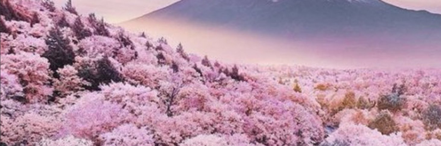 alm3344's profile banner image