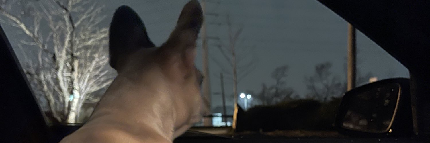 anielaaa__'s profile banner image