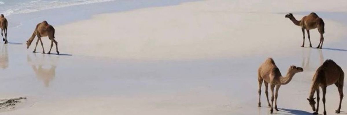 sam87608's profile banner image