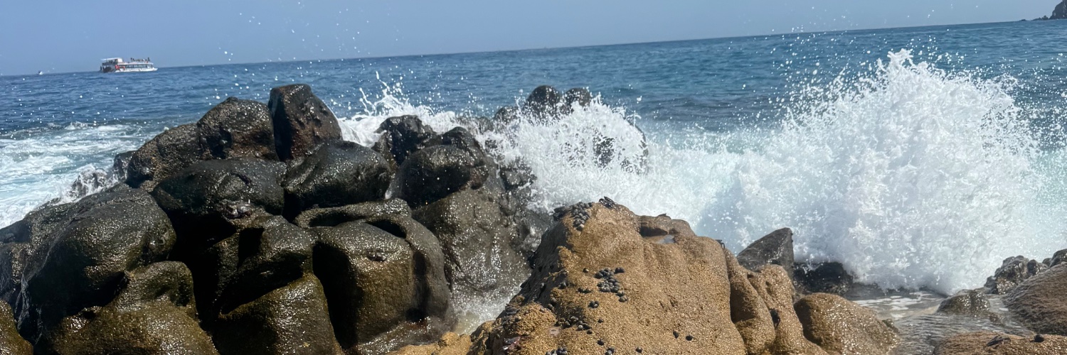 mkayorad's profile banner image