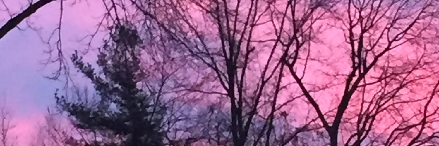juliedoodlesss's profile banner image
