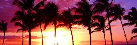 AnaTorresBieber's profile banner image