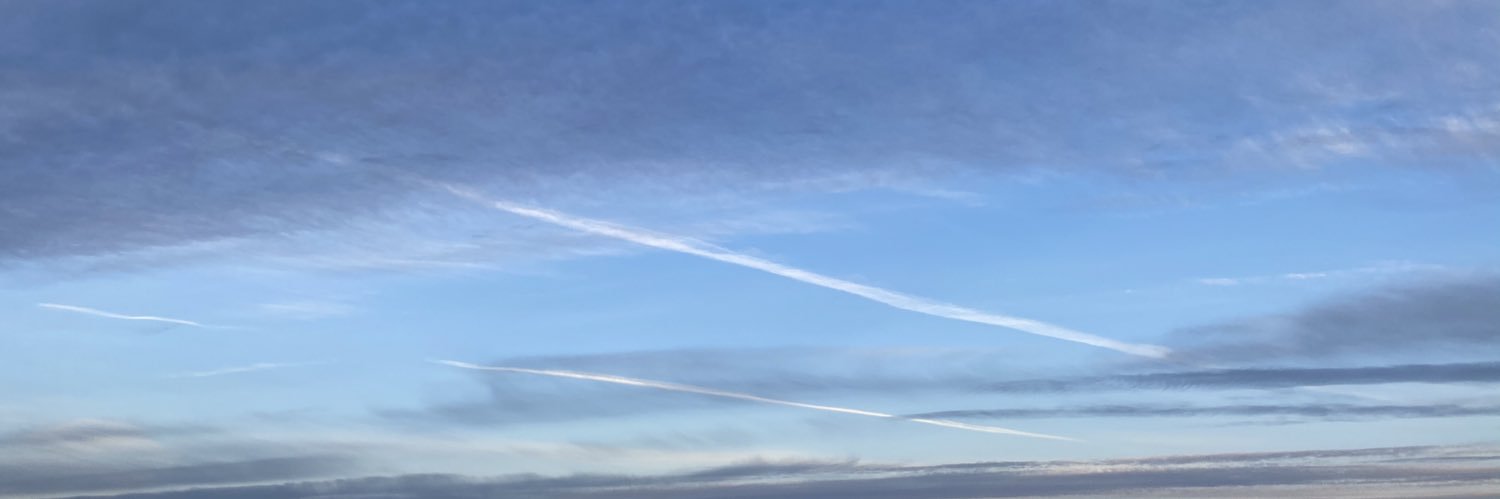 YL banner