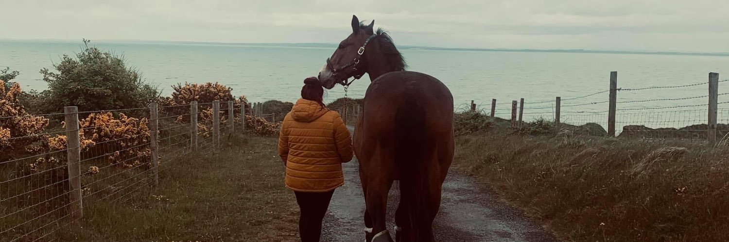 equestrian1993's profile banner image