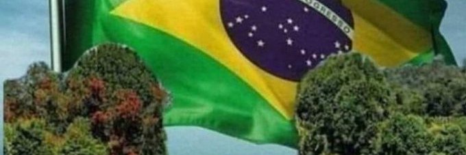 NHP 🇧🇷🇧🇷🇧🇷🇧🇷 banner