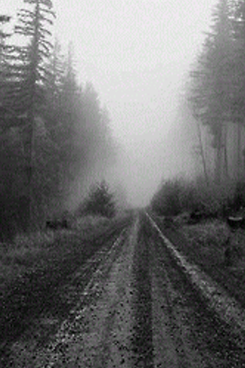 beafrgdr's profile banner image