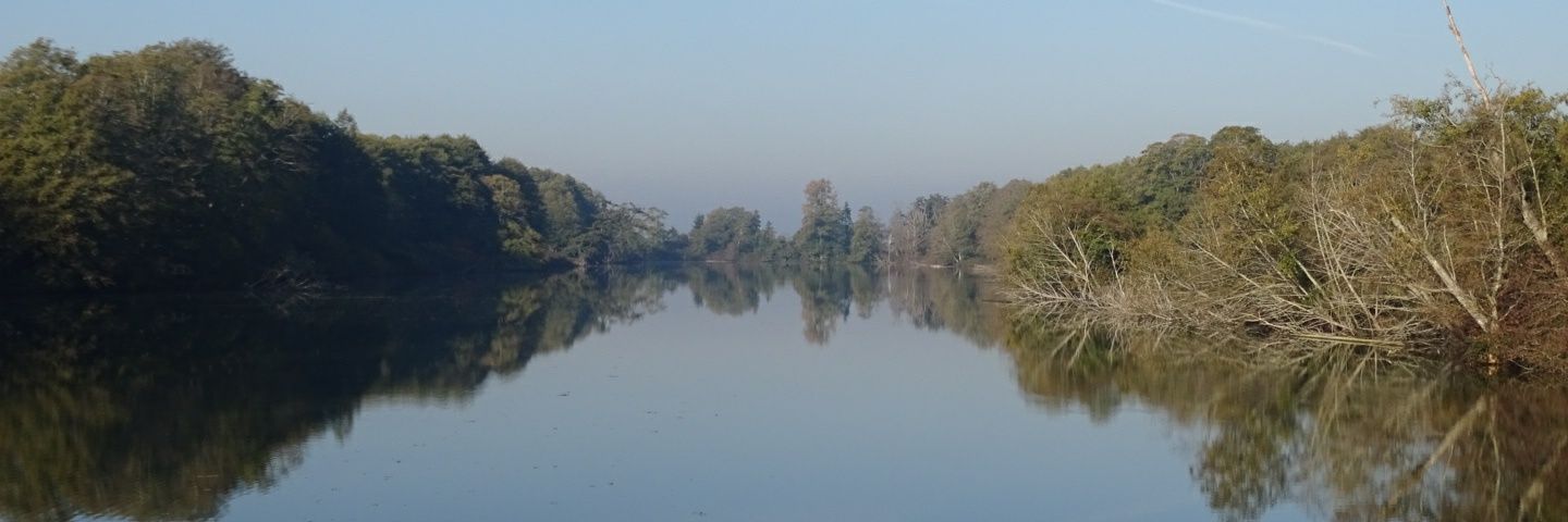 Graham Sorenson banner