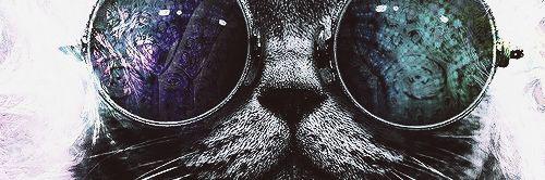 thamitolentino's profile banner image