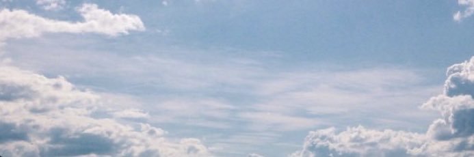 660_shosho's profile banner image