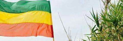 2dc8ca0dfec84fb's profile banner image