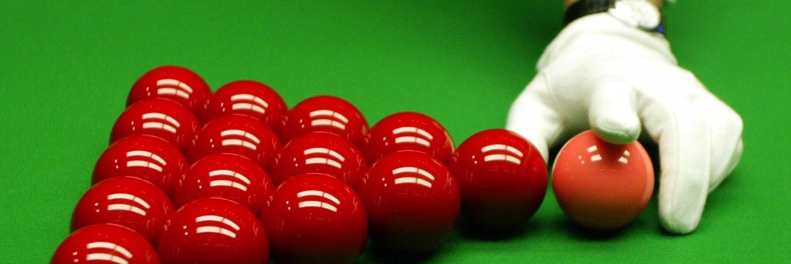 Daniel Schneider banner