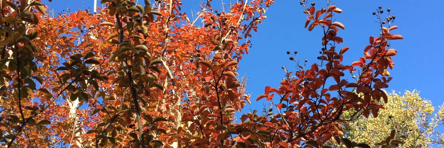 BethSulkowski's profile banner image