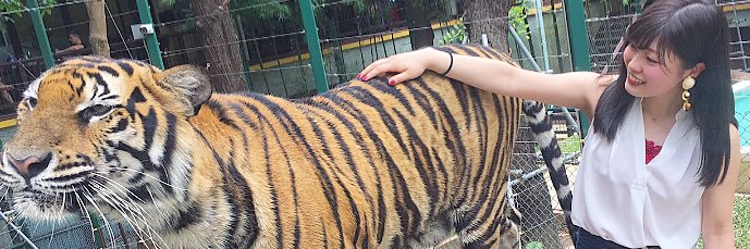 ayacho_57's profile banner image