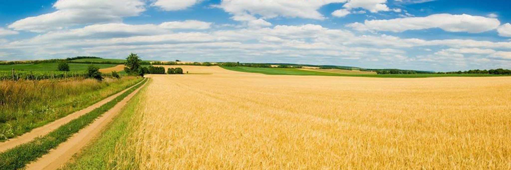 Agromagazine banner