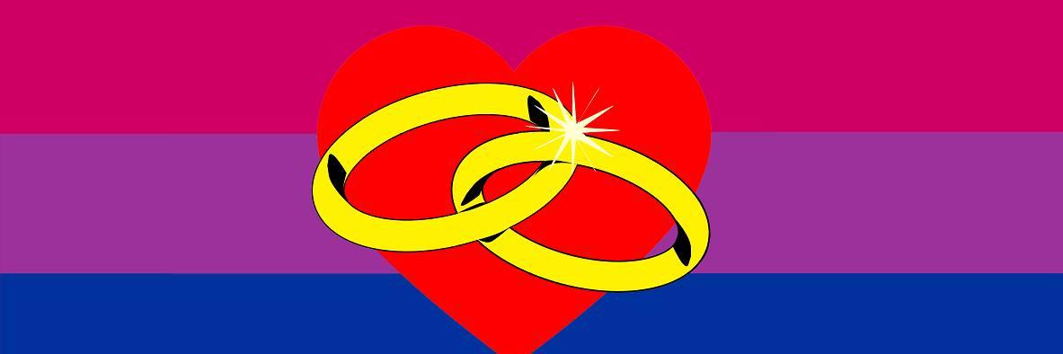 Bisexualrights's profile banner image