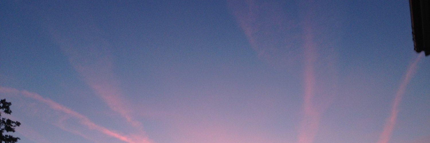 RLCouture's profile banner image